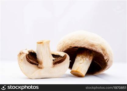 Fresh champignons, champignon mushrooms, close-up, isolated