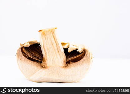 Fresh champignons, champignon mushrooms, close-up, isolated