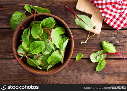 Fresh chard leaves