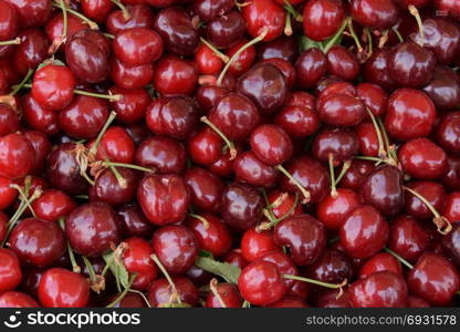 Fresh cherries background texture. Cherry fruit closeup.