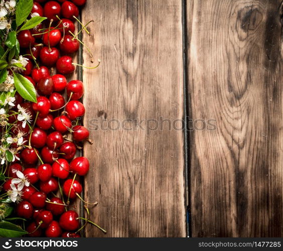 Fresh cherry and brunch blossoms. On wooden background.. Fresh cherry and brunch blossoms.