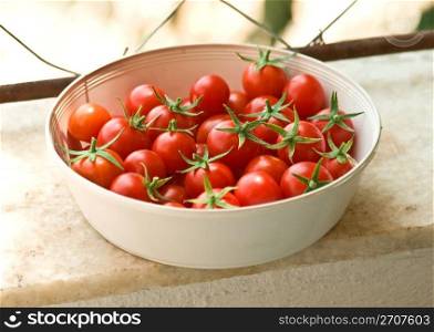 Fresh Cherry Tomatoes with clipping path.