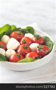 Fresh cherry tomatoes with mozzarella and spinach leaves
