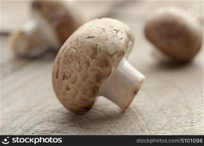 Fresh chestnut mushroom close up