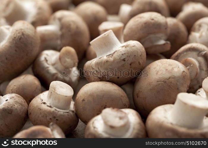 Fresh chestnut mushrooms full frame