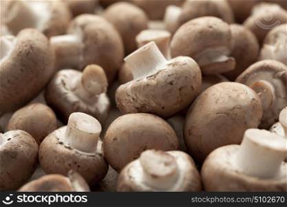 Fresh chestnut mushrooms full frame
