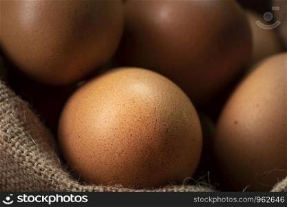 fresh chicken eggs, studio shot