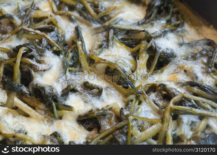 Fresh chicory and mozzarella cheese in a ceramic pot