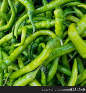 Fresh chilli peppers