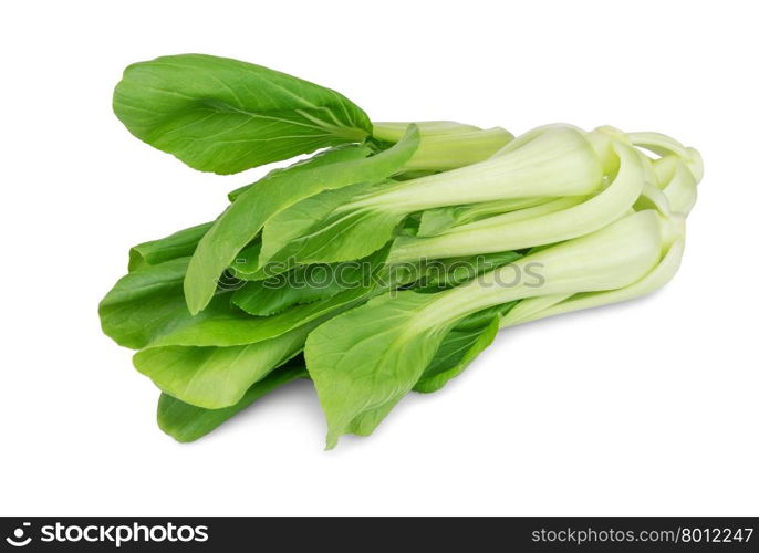 Fresh chinese cabbage pak choy isolated on white background