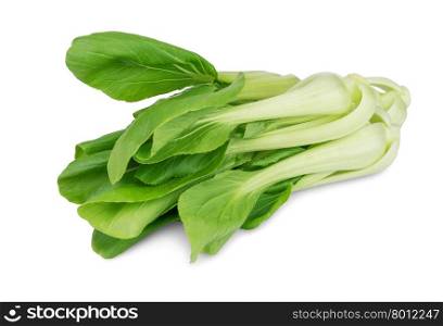 Fresh chinese cabbage pak choy isolated on white background