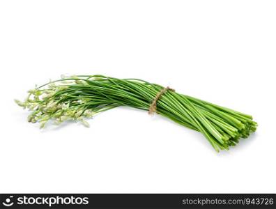 fresh chinese chives isolated on white