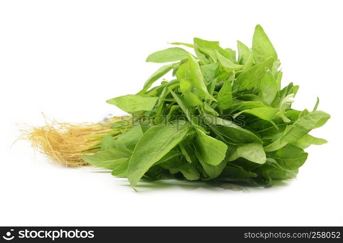 Fresh Chinese spinach isolated on the white background.