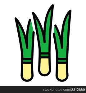 Fresh chives icon. Outline fresh chives vector icon color flat isolated. Fresh chives icon color outline vector