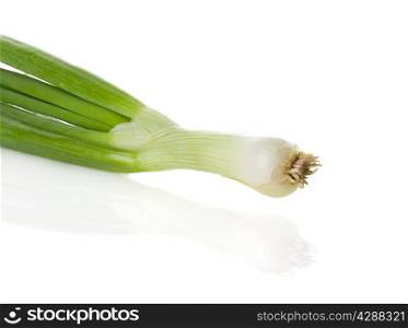 Fresh chives isolated on white ground
