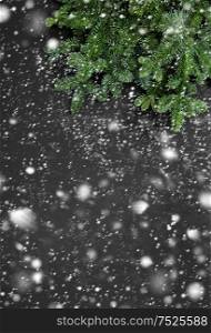 Fresh Christmas tree branches. Winter holidays background with falling snow effect