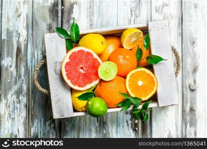 Fresh citrus in the box. On white wooden background. Fresh citrus in the box.