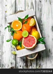 Fresh citrus in the box. On white wooden background. Fresh citrus in the box.