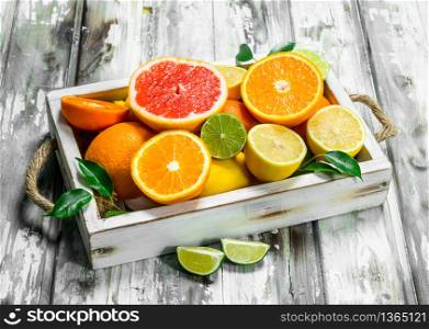 Fresh citrus in tray. On wooden background. Fresh citrus in tray.
