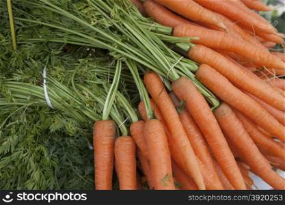 Fresh clean carrots with foliage on the market. Fresh clean carrots with foliage on the market.