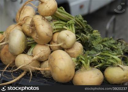 Fresh clean turnip on the market. Fresh clean turnipon the market.