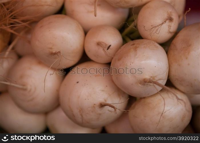 Fresh clean turnip on the market. Fresh clean turnipon the market.