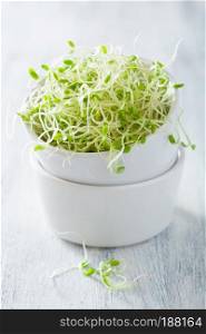 fresh clover sprouts healthy food