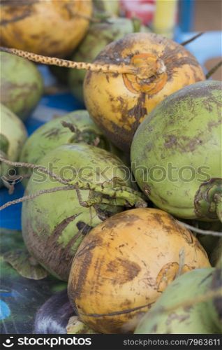 fresh coconuts in a restaurant in the Temples of Bagan in Myanmar in Southeastasia.. ASIA MYANMAR BAGAN COCOSNUT