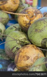 fresh coconuts in a restaurant in the Temples of Bagan in Myanmar in Southeastasia.. ASIA MYANMAR BAGAN COCOSNUT