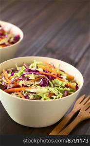 Fresh coleslaw, a salad made of shredded red and white cabbage and carrots, served in white bowls, photographed with natural light (Selective Focus, Focus in the middle of the salad)