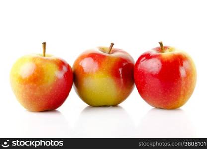 fresh colorful apples isolated on white background