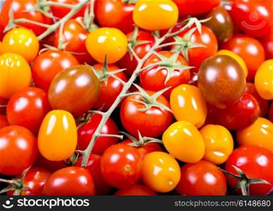 fresh colorful cherry tomatoes as background