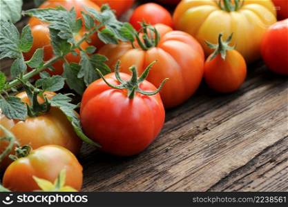 Fresh colorful ripe tomatoes on wooden board. Colorful tomatoes - red,yellow , orange. Harvest vegetable cooking conception.. Colorful tomatoes - red,yellow , orange. Harvest vegetable cooking conception.