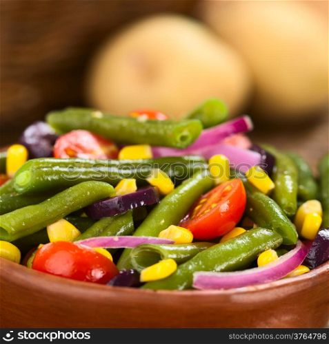 Fresh colorful vegetarian salad made of green beans, cherry tomatoes, sweet corn, black olives and red onions (Selective Focus, Focus one third into the salad)