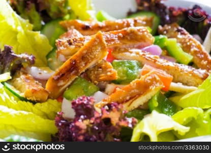 fresh colorfull sesame chicken salad close up