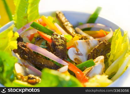 fresh colorfull thai beef salad on a bowl close up