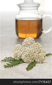 Fresh Common yarrow flowers and a pot of tea on the background