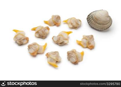 Fresh cooked cockles on white background