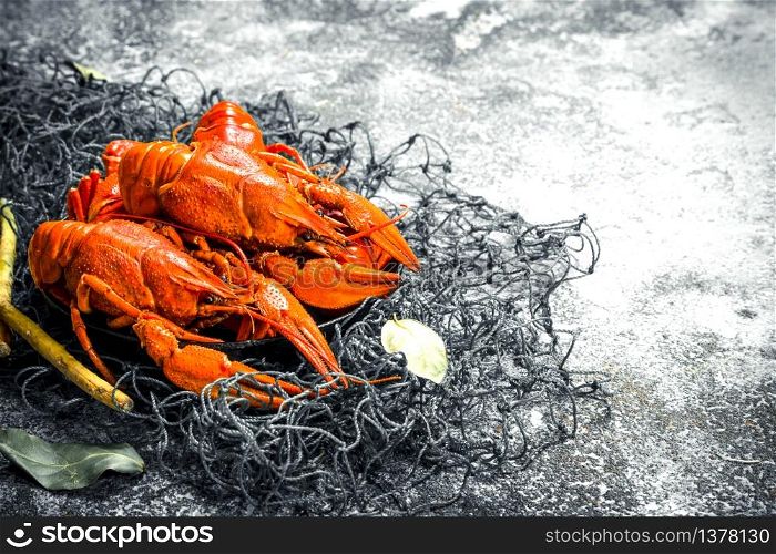 Fresh cooked crayfish. On a rustic background.. Fresh cooked crayfish.