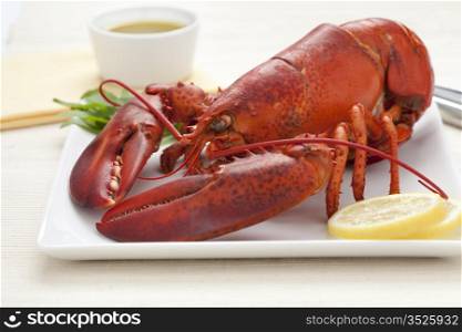 Fresh cooked lobster on a plate with lemon butter sauce