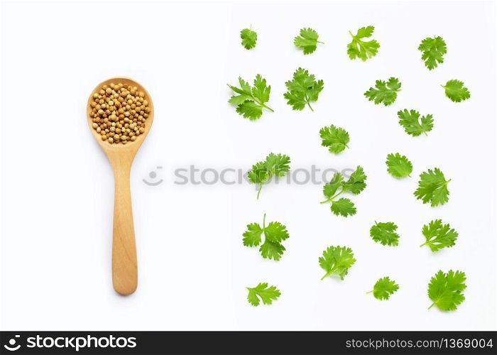 Fresh coriander leaves with seeds on white background.