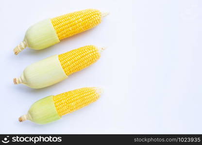 Fresh corn on a white background.