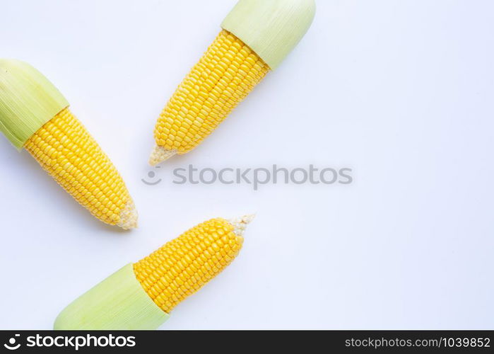 Fresh corn on a white background. Copy space