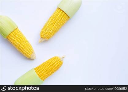 Fresh corn on a white background. Copy space