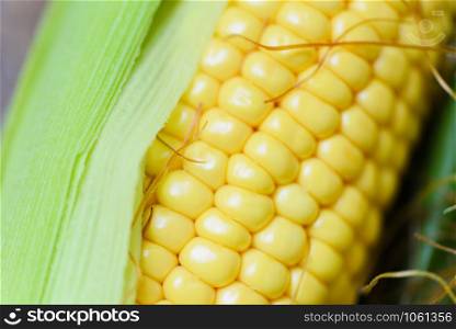 Fresh corn on cobs and sweet corn ears on rustic wooden table background close up