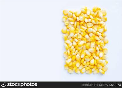 Fresh corn seeds on a white background. Copy space