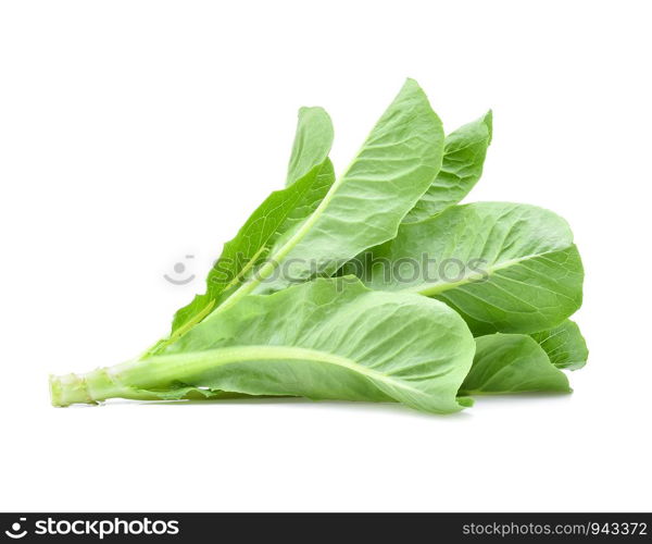 Fresh Cos Lettuce Isolated on White Background