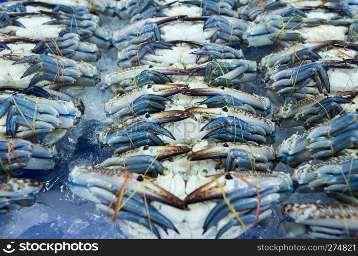 fresh crab at the seafood and fish market at the Naklua Fish Market in the city of Pattaya in the Provinz Chonburi in Thailand.  Thailand, Pattaya, November, 2018. THAILAND PATTAYA MARKET FOOD SEAFOOD