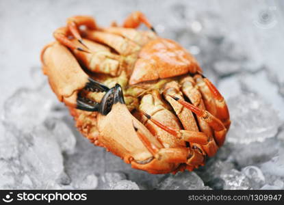 Fresh crab on ice background / Cooked crabs seafood