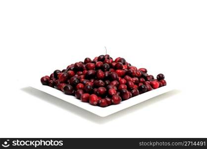 Fresh Cranberry. Cranberries in various shades of red on a white square plate with a single berry and stem on top, on an isolated background
